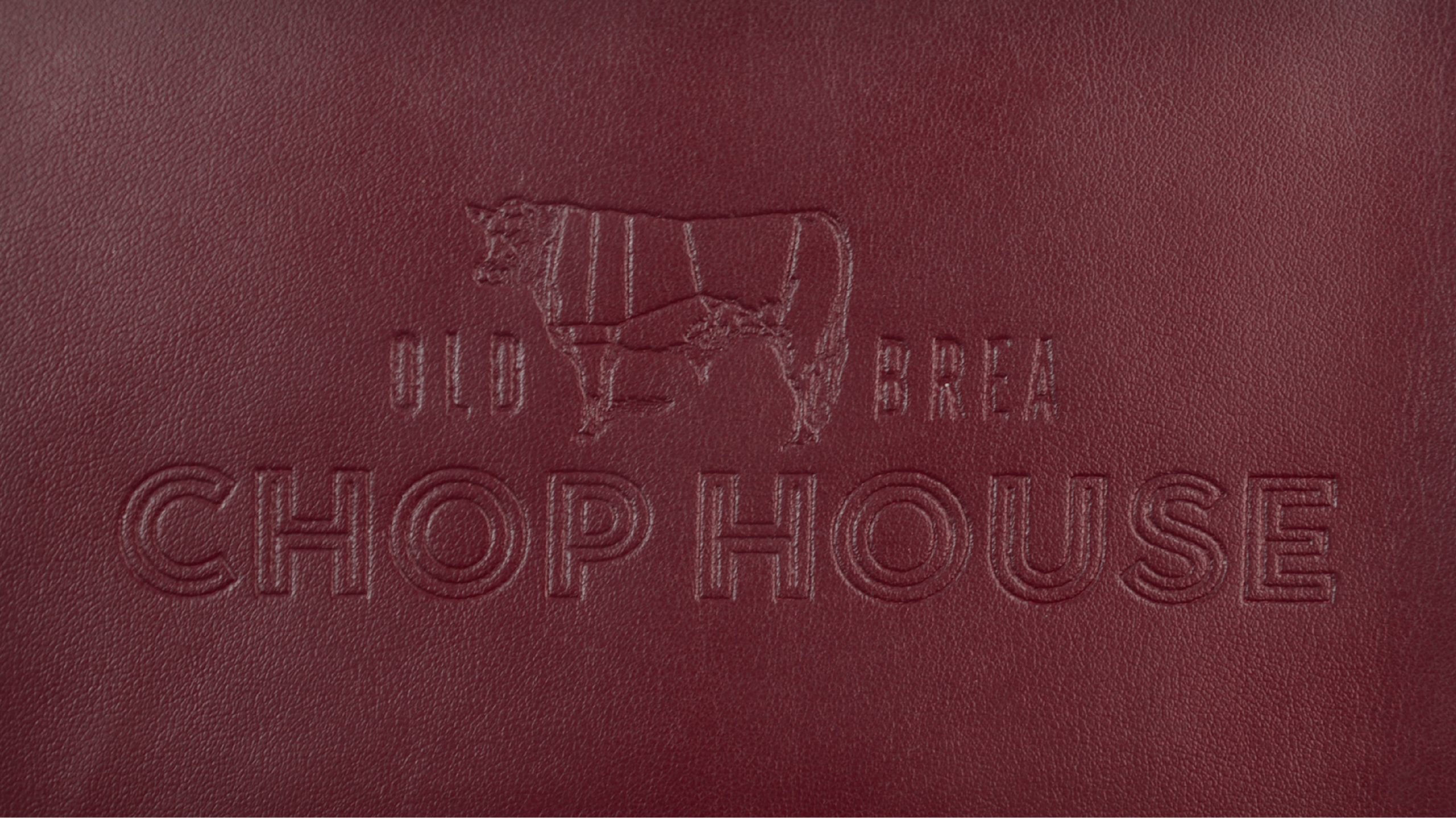 Blind Logo on Bordeaux Passport